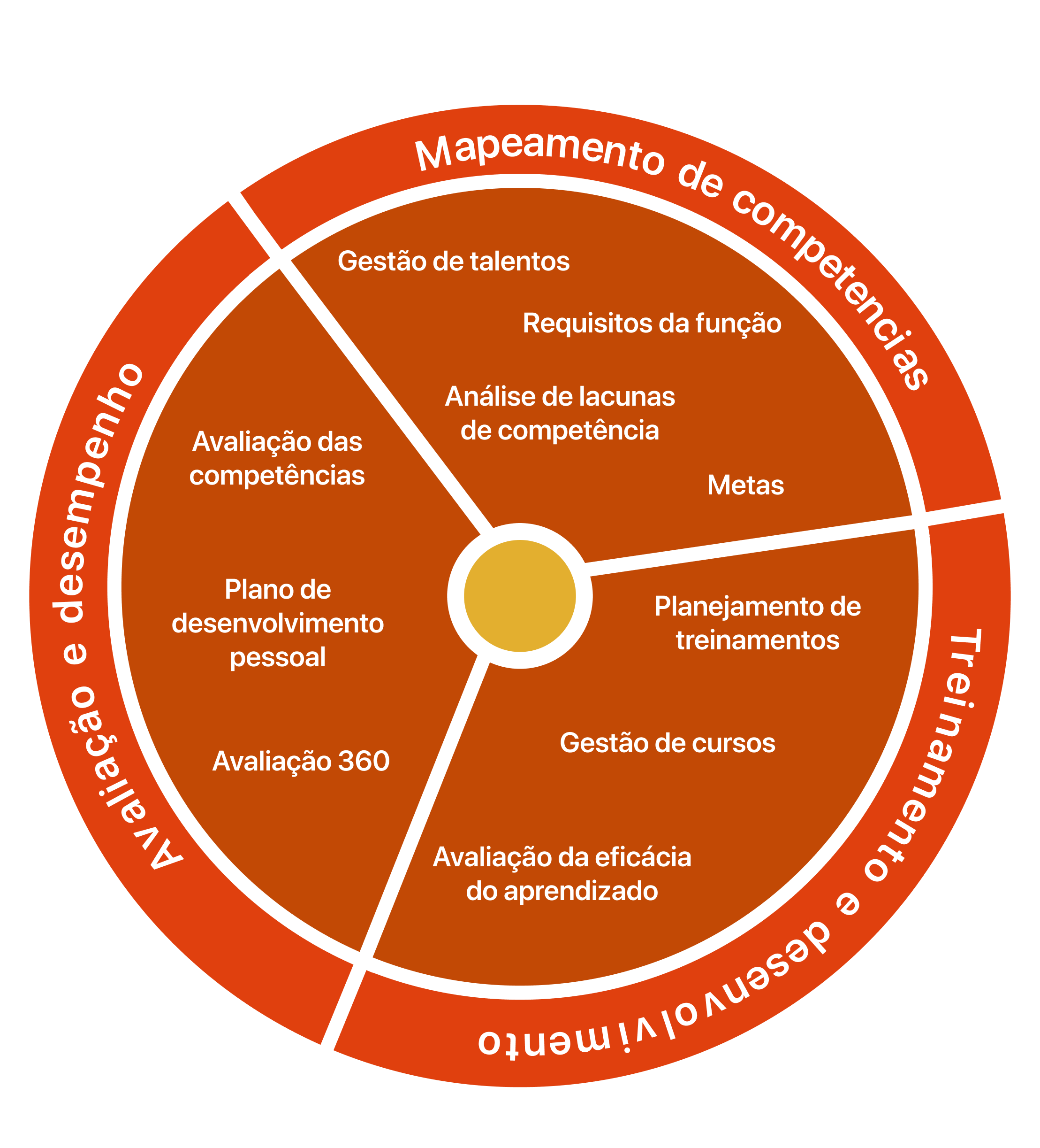 Um circulo mostrando os diversos aspectos que a empresa possui
